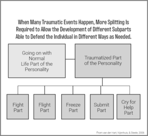 Structural dissociation diagram: a normal-life part and a traumatized part made of fight, flight, freeze, submit and cry-for-help parts