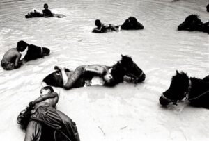 Jack Picone, Monks in Repose (2006): young novice monks resting on their horses in a river, Thailand