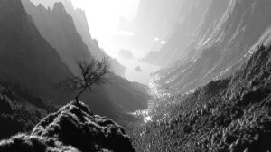 Highland Spring by Ryan Bliss: a lone tree above a deep sunlit mountain valley, in black and white